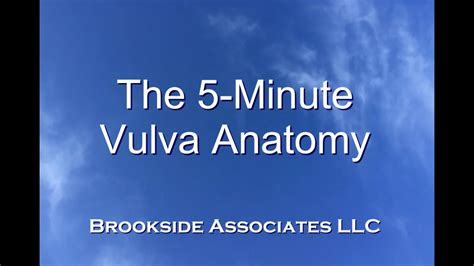 5 Minute Vulva Anatomy Video .